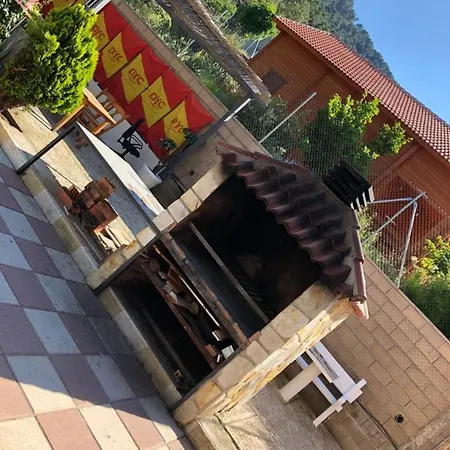 En El Corazon De La Sierra De Gredos, Pinar De La Atalaya-tiemblo