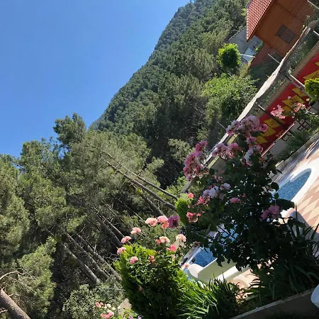 En El Corazon De La Sierra De Gredos, Pinar De La Atalaya-tiemblo
