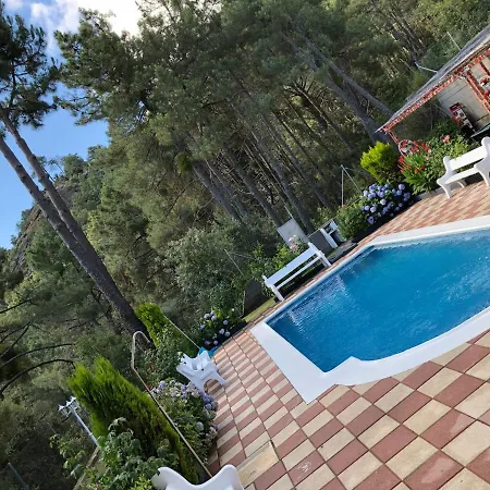 En El Corazon De La Sierra De Gredos, Pinar De La Atalaya-tiemblo