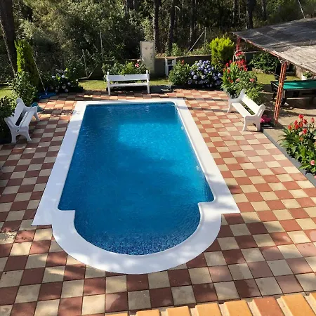 En El Corazon De La Sierra De Gredos, Pinar De La Atalaya-tiemblo