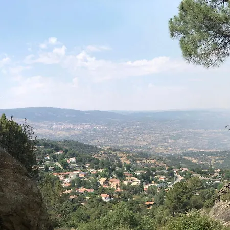 En El Corazon De La Sierra De Gredos, Pinar De La Atalaya-tiemblo *