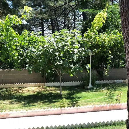 En El Corazon De La Sierra De Gredos, Pinar De La Atalaya-tiemblo Эль-Тьембло