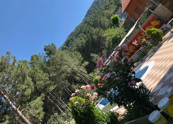 En El Corazon De La Sierra De Gredos, Pinar De La Atalaya-tiemblo