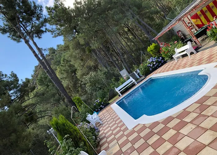 En El Corazon De La Sierra De Gredos, Pinar De La Atalaya-tiemblo