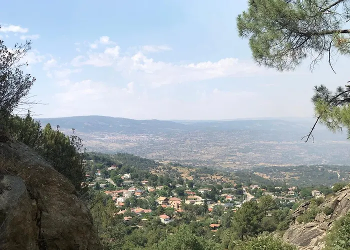 En El Corazon De La Sierra De Gredos, Pinar De La Atalaya-tiemblo *
