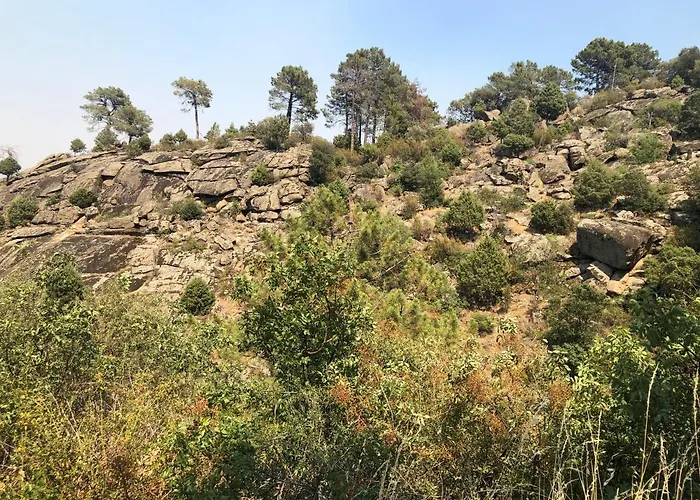 Сasa de vacaciones En El Corazon De La Sierra De Gredos, Pinar De La Atalaya-tiemblo *