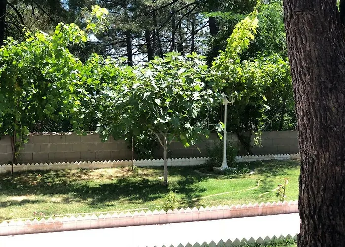 En El Corazon De La Sierra De Gredos, Pinar De La Atalaya-tiemblo El Tiemblo